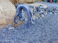 Full Body Catsuit On The Beach - Watch4Fetish