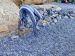 Full Body Catsuit On The Beach - Watch4Fetish