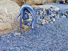 Full Body Catsuit On The Beach - Watch4Fetish