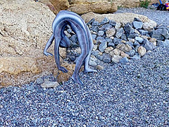 Full Body Catsuit On The Beach - Watch4Fetish