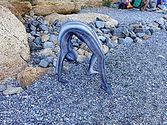 Full Body Catsuit On The Beach - Watch4Fetish