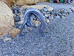 Full Body Catsuit On The Beach - Watch4Fetish