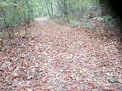 Milf Russian Sexy Suck Dick In The Woods