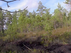 Evelina Juliet in amateur girl in stockings gives head and fucks