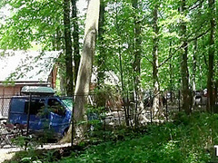 Carolina Vogue - Fucked Hard In The Forest