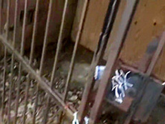 Step Sister Public Suck and Fuck