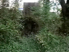 Step Sister Public Suck and Fuck