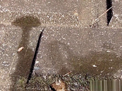 Uniformed Asian Sluts Pee Outdoors