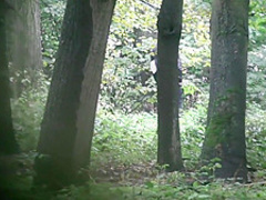 Girls pee outdoor voyeurr ( gizli cekim )