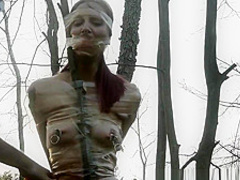 Futile Struggles - Tree Taped