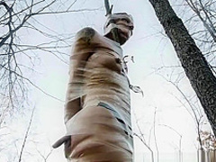 Futile Struggles - Tree Taped