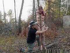 Futile Struggles - Tree Taped