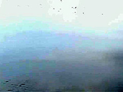 NUDIST TEENS BODYPAINT Full VID # 2