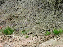 NUDIST TEENS BODYPAINT Full VID # 2