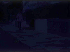 German Erotic Exhibitionism 12