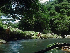 Black Girl And White Soldier