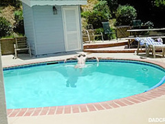 DadCrush - Avi Love 2