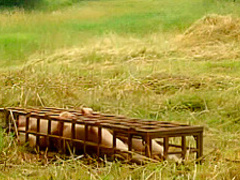 Crazy Xxx Movie Blonde Best Unique