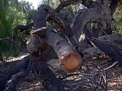 Pleasure Slave Has It Rough