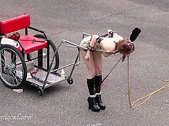 The Cart And The Crook - Kitty The Ponygirl
