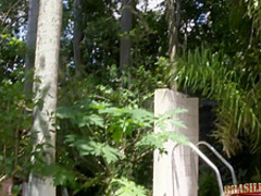 Cristel Lauris - Stella Smites Cobrinha Somais Eu Videos