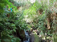 Por Tras Das Camera Fudendo Com Negao Dotado No Riacho 16 Min - Higor Negrao And Wanessa Boyer