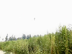 Fabulous Adult Clip Hd Great , Watch It