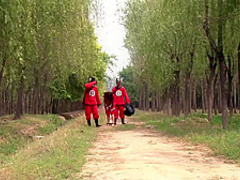 Chinese Traditional Torture