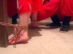 Chinese Traditional Torture