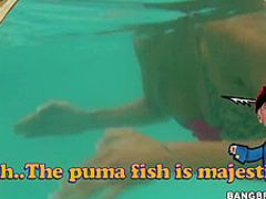 Puma Swede - The Puma Is A Man Eatter