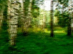 Ivana Fukalot sucks this cock outside