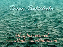 Duna Bultihalo Slutty Teen Swims And Strips