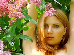 Summer Colors