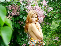 Summer Colors