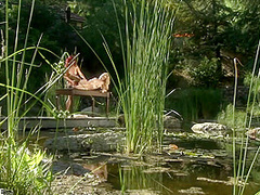 Crazy Adult Clip Milf Watch Youve Seen With Charlotte Kelly And Arcadia Davida