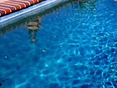 Allows A Massive Black Cock To Pump Her Butthole With Alexis Tae