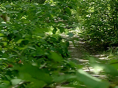 Watching - Her - Squirt - Staffselectio With Kristal Kaytlin