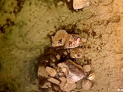 Far & Away With Katie A Delicia