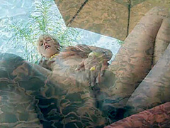 Gang Bang Pool Party - Tara&Jaelyn - Kin8tengoku