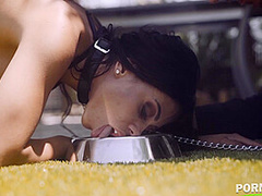 Doggy Style Until She Screams - PornWorld