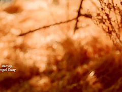 Angel Sway - Mediterranean Dreams