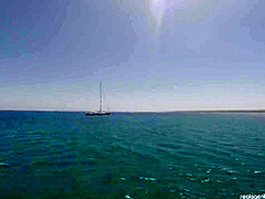 Real Agent Porn Cruise