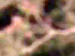 Aleska Diamond, Cathy Heaven And Carla Cox In Seduction In Santorini 2