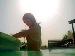 Red Fox - Michelle - Wet Dreams