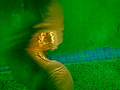 Red Fox - Michelle - Wet Dreams