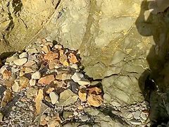 A Deep Blow Job! A Girl Decided To Blow A Guy On The Beach And Their Friends Spotted Them