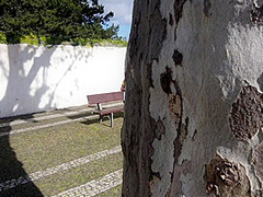 A Young Sucker Spied On Mommy In The Park And She Let Herself Be Touched!