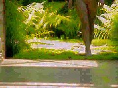 X Art In Luminescence (dillon)