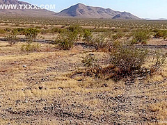 Lady Lazerus Sucking Cock In The Middle Of The Desert With Johnny Goodluck