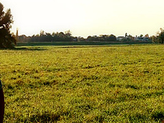 Unlimitedmuse - Tandem Duality